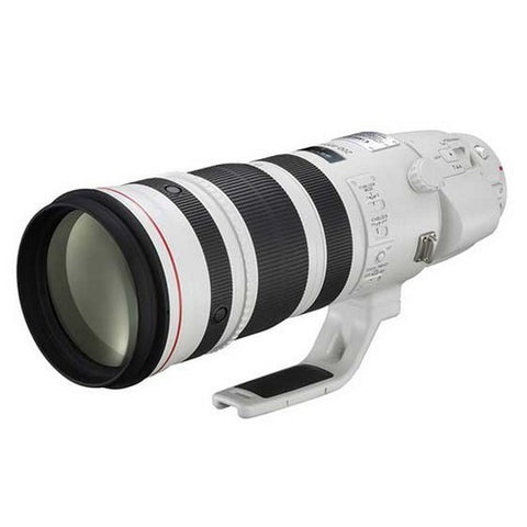 Canon EF 200-400mm f/4L IS USM Extender 1.4x Lenses